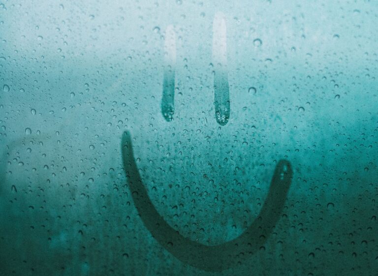 Who Should You Hand Your Fogged Window To?